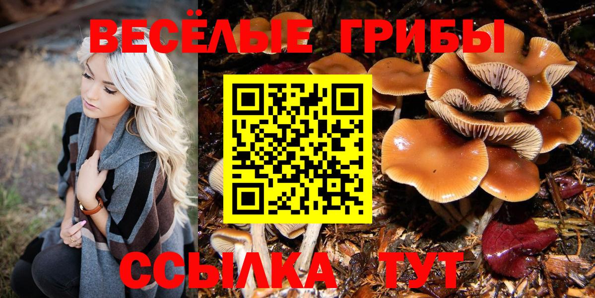 Галлюциногенные грибы GOLDEN TEACHER  Вход с VPN  Галлюциногенные грибы MAGIC MUSHROOMS  Боровичи 